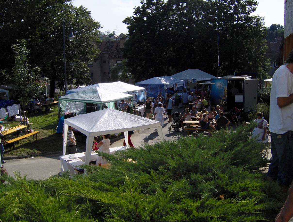 Retesfesztival 42
